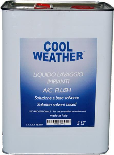 Soluție curățat climatizare Magneti Marelli 5L