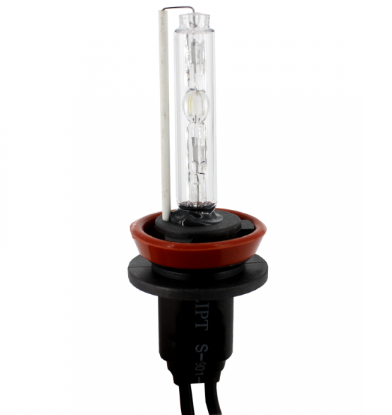Bec CARGUARD xenon BXH116000K, H11, 6000K, 35 W, 12 V