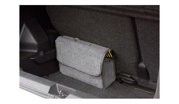 Organizator auto LinQ
