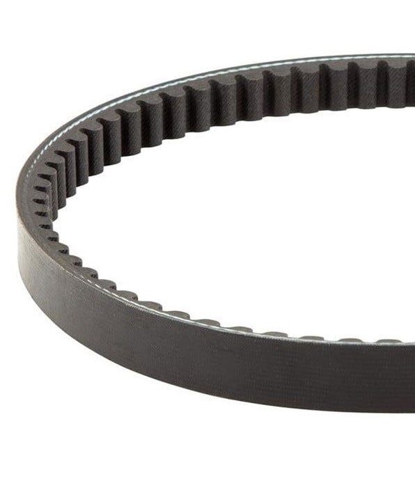 Curea scuter 751x16.5