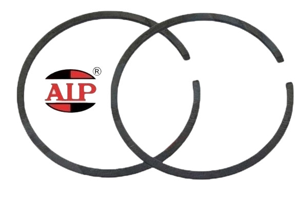 Segment Ø 40,5 mm x 2 mm AIP