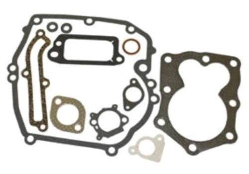 Set garnituri motor Briggs & Stratton (Serii 590508, 794307, 497316)