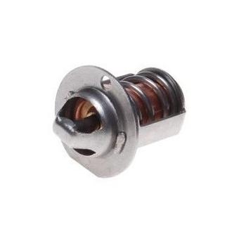 Termostat pentru scuter AM6