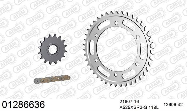 01286636 Kit lanț motocicletă Yamaha TDM 900 2002-2010 - Afam
