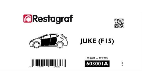 Set Agrafe Montaj Ușă Față/Spate Nissan Juke Restagraf A603001A