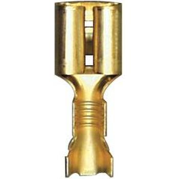 Cuplaj electric RESTAGRAF 6893